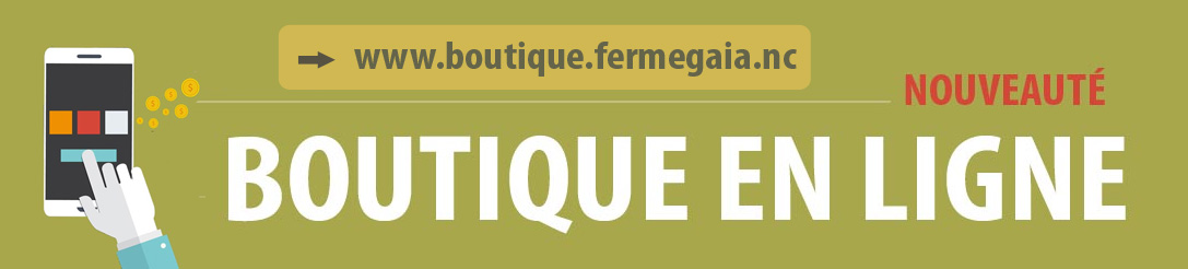 Boutique en ligne : produits de la ferme